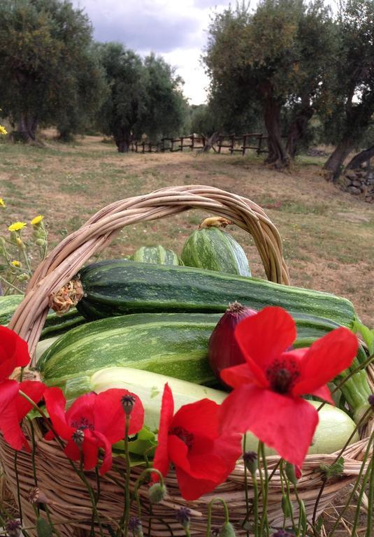 Agriturismo Prati Degli Orti Montiano  Zewnętrze zdjęcie