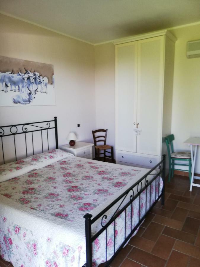Agriturismo Prati Degli Orti Montiano  Zewnętrze zdjęcie